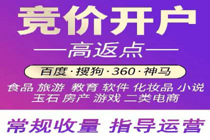 百度推广代运营案例：案例分享：打造行业领军品牌